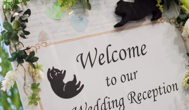 ユメリアの特徴