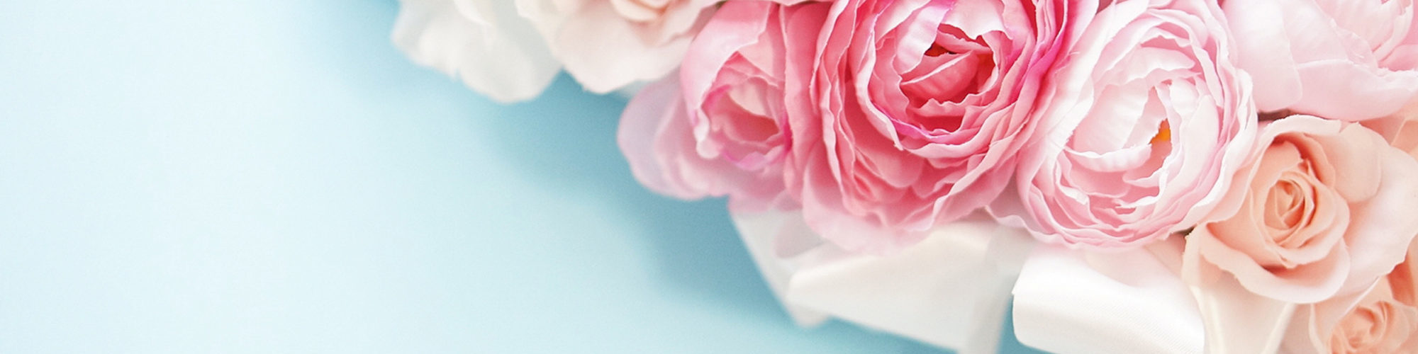 ユメリアの特徴